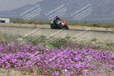 media/Feb-04-2023-SoCal Trackdays (Sat) [[8a776bf2c3]]/Turn 15 Inside Blooming (1050am)/